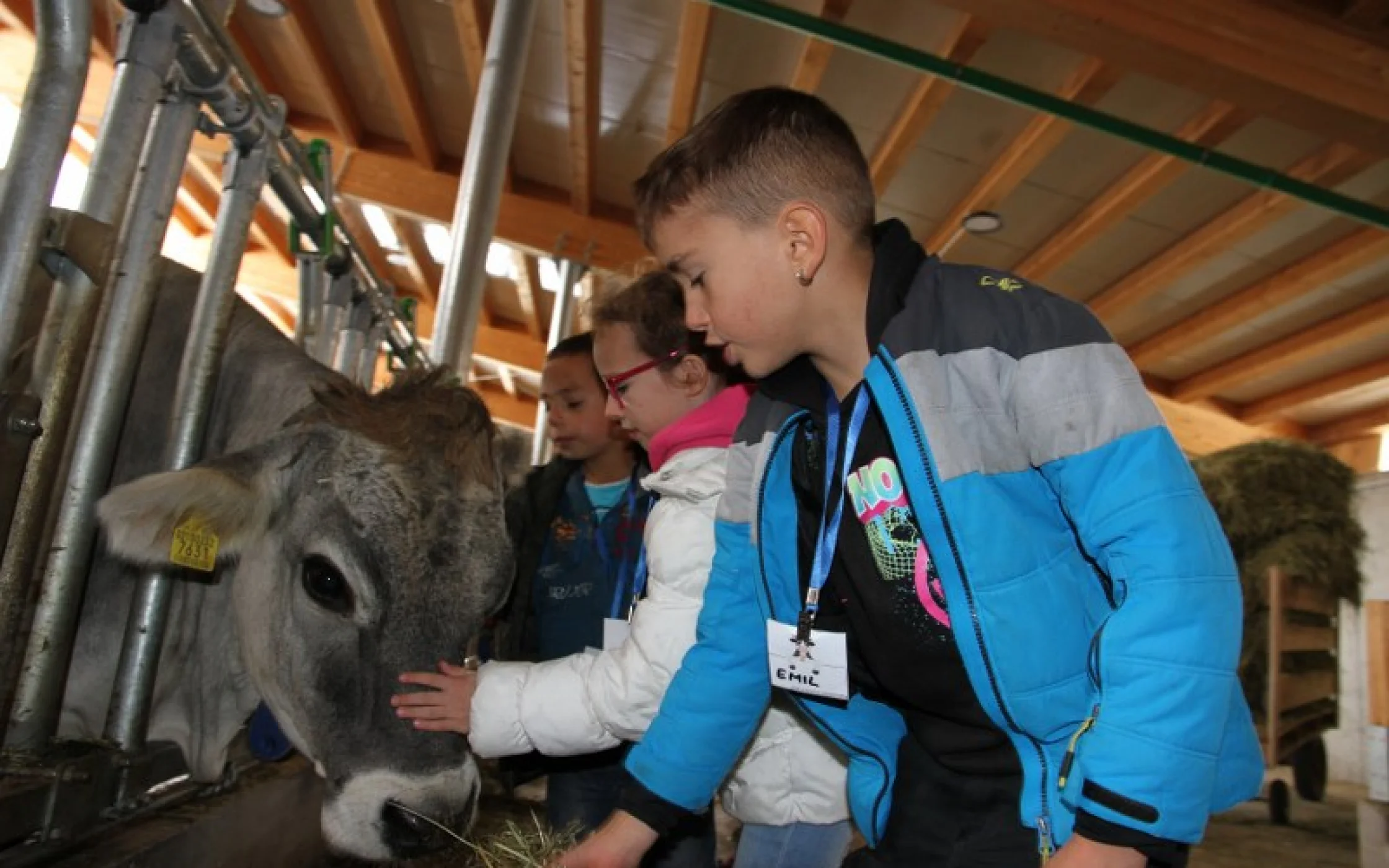 20230414_SAB-Gewinnspiel GS Laurein 150_800x533.JPG